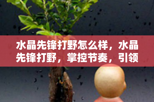 水晶先锋打野怎么样，水晶先锋打野，掌控节奏，引领胜利