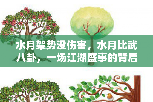 水月架势没伤害，水月比武八卦，一场江湖盛事的背后故事