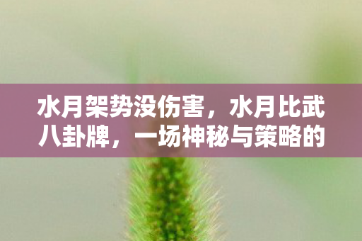 水月架势没伤害，水月比武八卦牌，一场神秘与策略的较量
