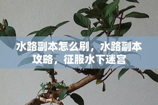 水路副本怎么刷，水路副本攻略，征服水下迷宫