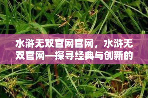 水浒无双官网官网，水浒无双官网—探寻经典与创新的交融之地