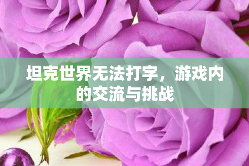 坦克世界无法打字,游戏内的交流与挑战 坦克世界无法打字,游戏内的交流与挑战