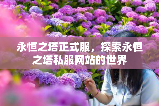 永恒之塔正式服，探索永恒之塔私服网站的世界