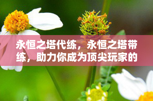 永恒之塔代练，永恒之塔带练，助力你成为顶尖玩家的秘诀