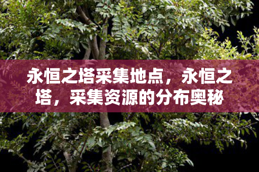 永恒之塔采集地点，永恒之塔，采集资源的分布奥秘