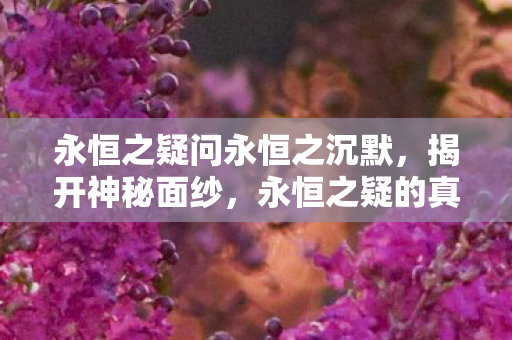 永恒之疑问永恒之沉默，揭开神秘面纱，永恒之疑的真相探索