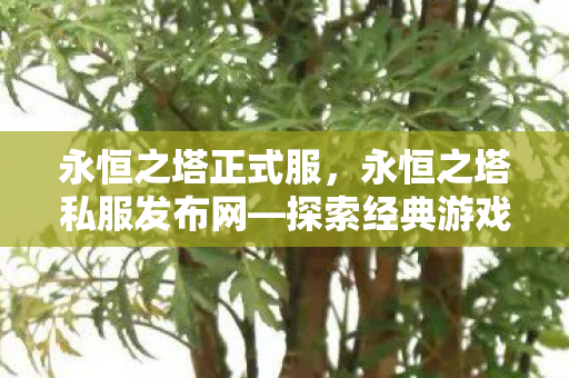 永恒之塔正式服，永恒之塔私服发布网—探索经典游戏的私密世界
