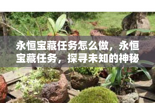 永恒宝藏任务怎么做，永恒宝藏任务，探寻未知的神秘之旅
