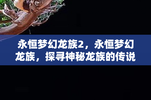 永恒梦幻龙族2，永恒梦幻龙族，探寻神秘龙族的传说与奥秘