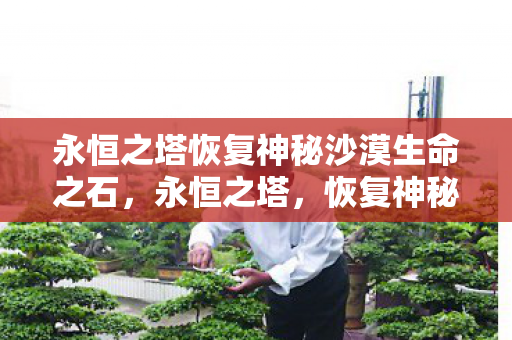 永恒之塔恢复神秘沙漠生命之石，永恒之塔，恢复神秘的探索之旅