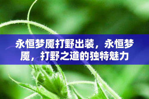 永恒梦魇打野出装，永恒梦魇，打野之道的独特魅力