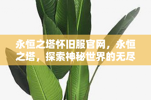 永恒之塔怀旧服官网，永恒之塔，探索神秘世界的无尽魅力