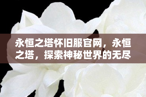 永恒之塔怀旧服官网，永恒之塔，探索神秘世界的无尽魅力