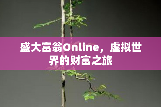盛大富翁Online，虚拟世界的财富之旅