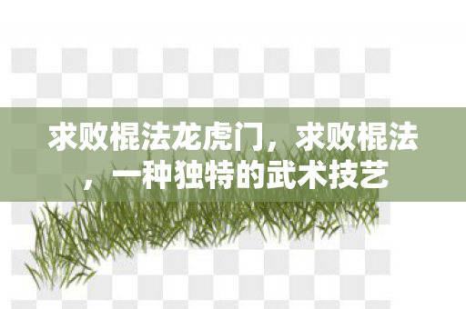 求败棍法龙虎门，求败棍法，一种独特的武术技艺