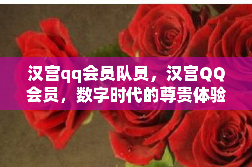 汉宫qq会员队员，汉宫QQ会员，数字时代的尊贵体验
