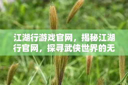 江湖行游戏官网，揭秘江湖行官网，探寻武侠世界的无尽魅力
