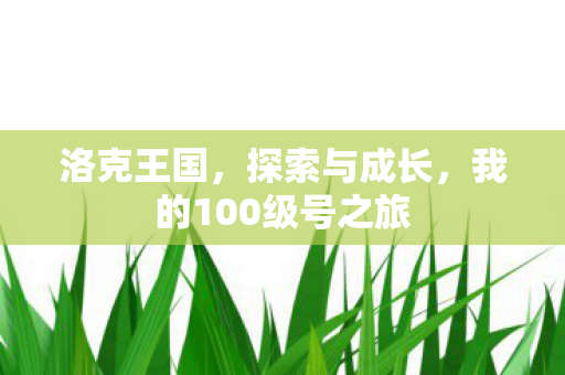 洛克王国,探索与成长,我的100级号之旅 洛克王国,探索与成长,我的100级号之旅