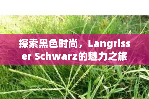 探索黑色时尚，Langrisser Schwarz的魅力之旅
