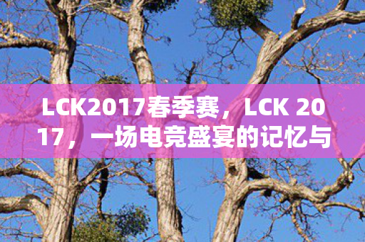 LCK2017春季赛，LCK 2017，一场电竞盛宴的记忆与回顾