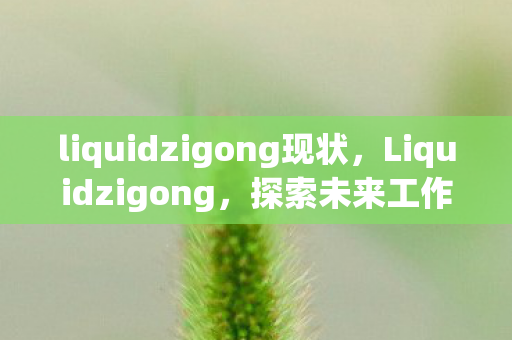 liquidzigong现状，Liquidzigong，探索未来工作模式的液态化协同办公新概念