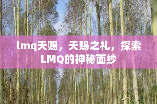 lmq天赐，天赐之礼，探索LMQ的神秘面纱