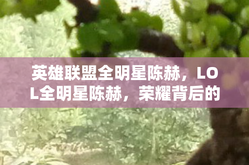 英雄联盟全明星陈赫，LOL全明星陈赫，荣耀背后的故事