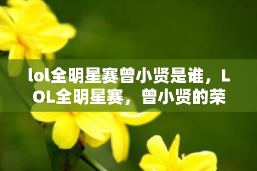 lol全明星赛曾小贤是谁，LOL全明星赛，曾小贤的荣耀时刻