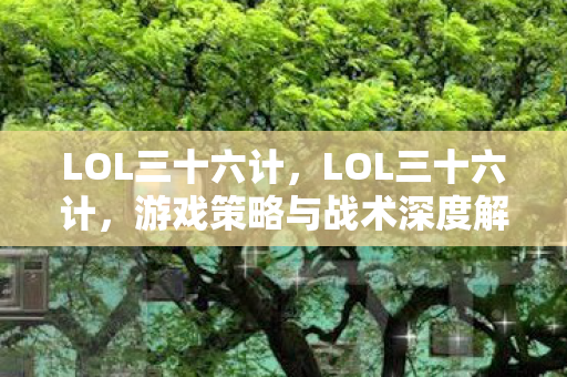 LOL三十六计，LOL三十六计，游戏策略与战术深度解析