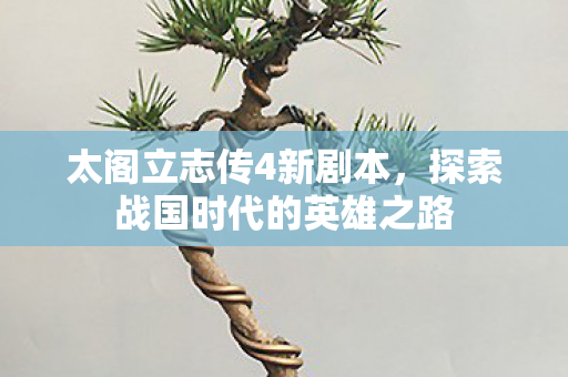 太阁立志传4新剧本，探索战国时代的英雄之路
