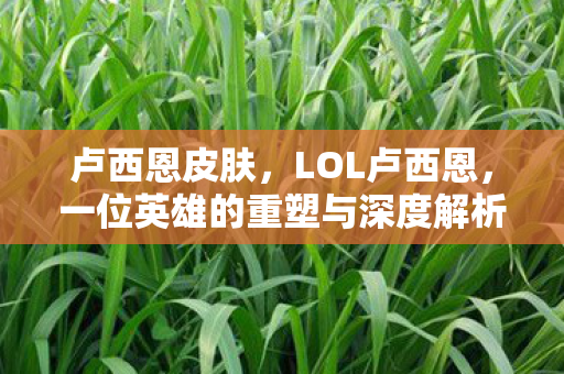 卢西恩皮肤，LOL卢西恩，一位英雄的重塑与深度解析