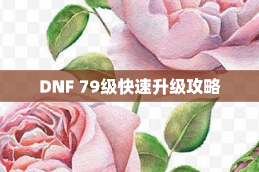 DNF 79级快速升级攻略 DNF 79级快速升级攻略