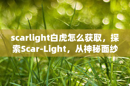 scarlight白虎怎么获取，探索Scar-Light，从神秘面纱下揭示真相