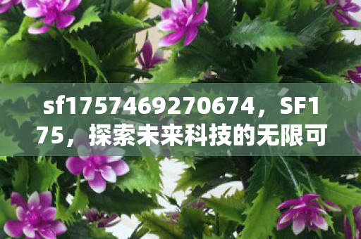 sf1757469270674，SF175，探索未来科技的无限可能