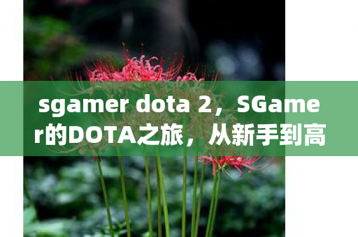 sgamer dota 2，SGamer的DOTA之旅，从新手到高手的必经之路