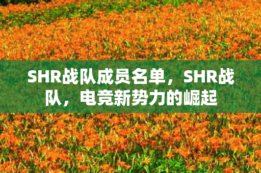 SHR战队成员名单，SHR战队，电竞新势力的崛起