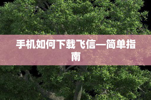 手机如何下载飞信—简单指南