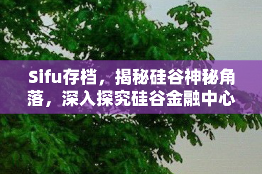 Sifu存档，揭秘硅谷神秘角落，深入探究硅谷金融中心SIFUCUN的奥秘