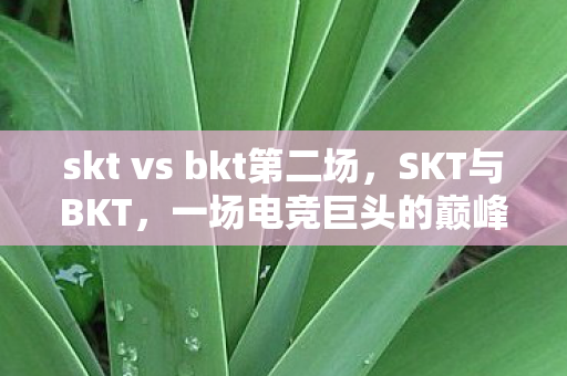 skt vs bkt第二场，SKT与BKT，一场电竞巨头的巅峰对决