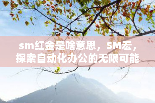 sm红金是啥意思，SM宏，探索自动化办公的无限可能