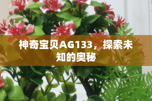 神奇宝贝AG133，探索未知的奥秘