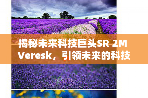 揭秘未来科技巨头SR 2M Veresk，引领未来的科技力量与无限潜力