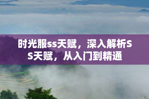 时光服ss天赋，深入解析SS天赋，从入门到精通