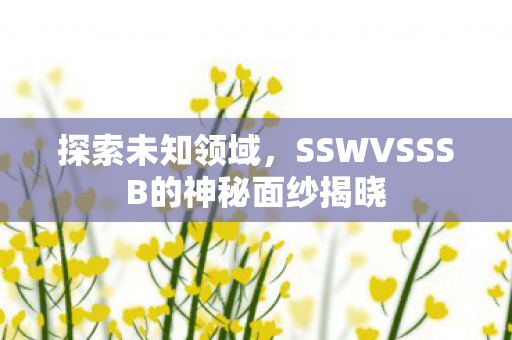 探索未知领域，SSWVSSSB的神秘面纱揭晓