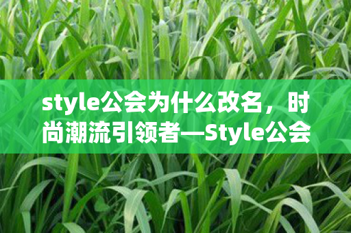 style公会为什么改名，时尚潮流引领者—Style公会