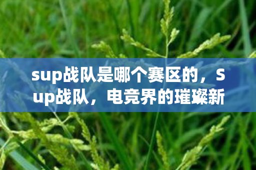 sup战队是哪个赛区的，Sup战队，电竞界的璀璨新星