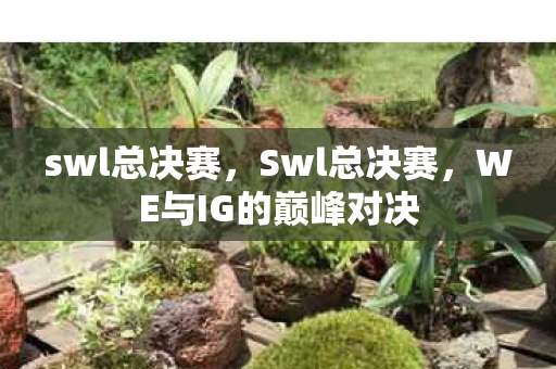 swl总决赛，Swl总决赛，WE与IG的巅峰对决