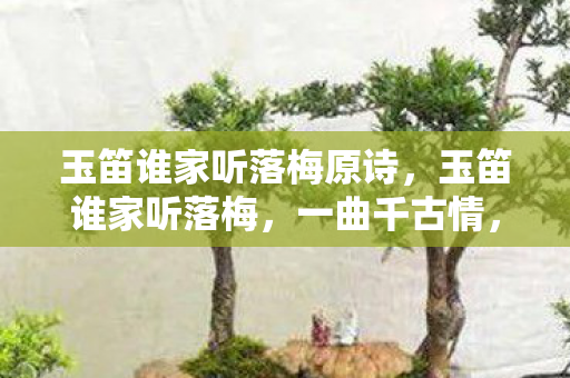 玉笛谁家听落梅原诗，玉笛谁家听落梅，一曲千古情，飘渺入心扉