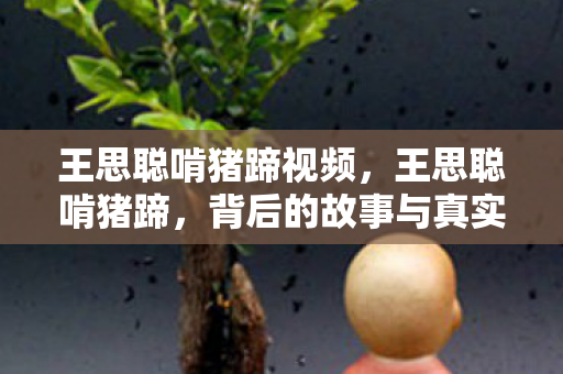 王思聪啃猪蹄视频，王思聪啃猪蹄，背后的故事与真实面貌
