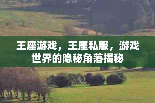 王座游戏，王座私服，游戏世界的隐秘角落揭秘